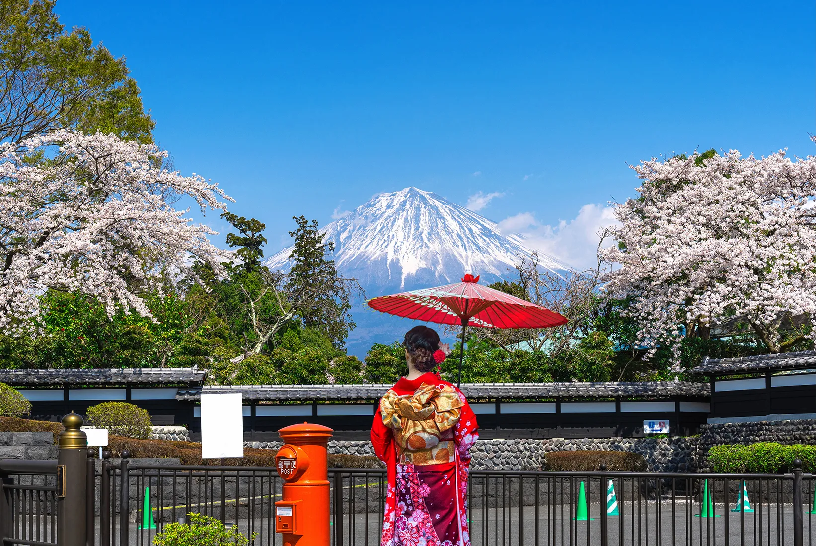 Japan Adventure