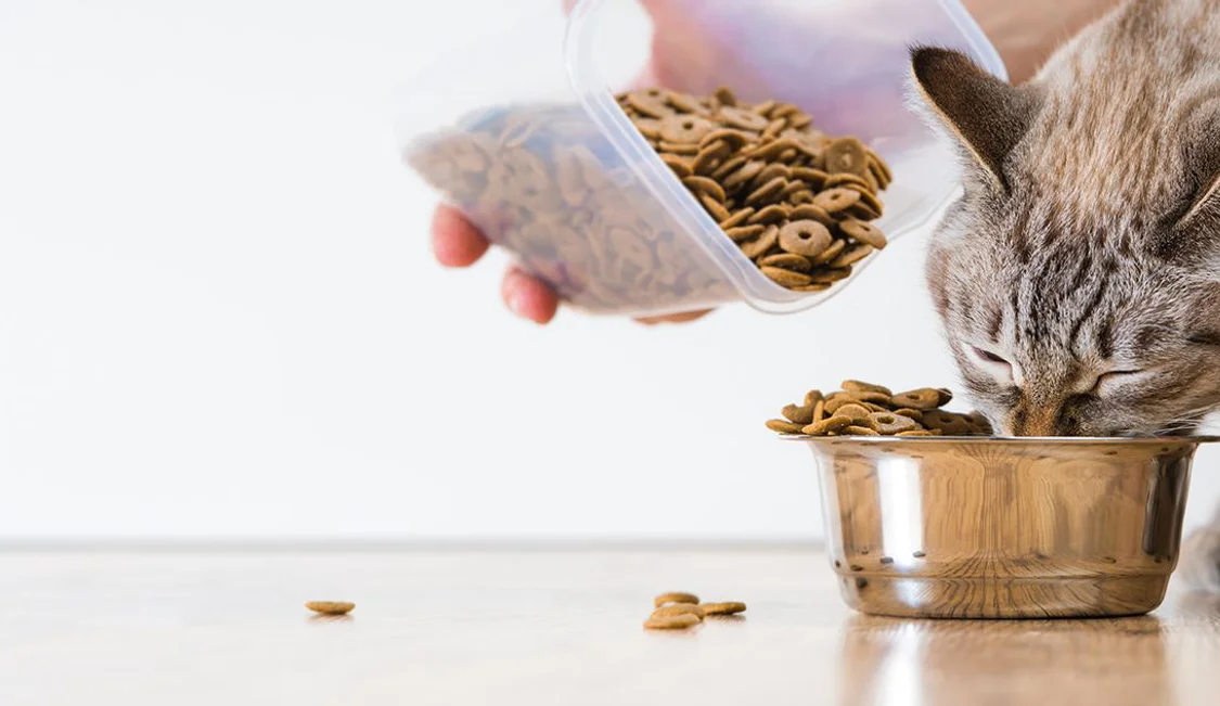Pet food and supplements